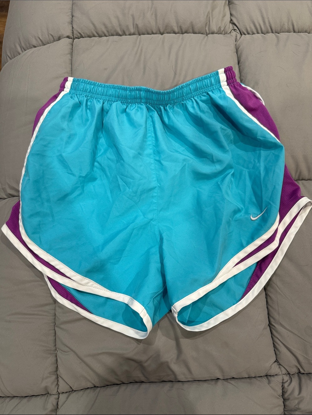 Nike Women’s Teal and Purple Athletic Shorts with White Trim
